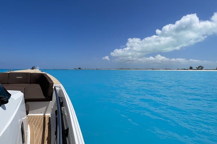 Anchored In Paradise Pure Turquoise Perfection